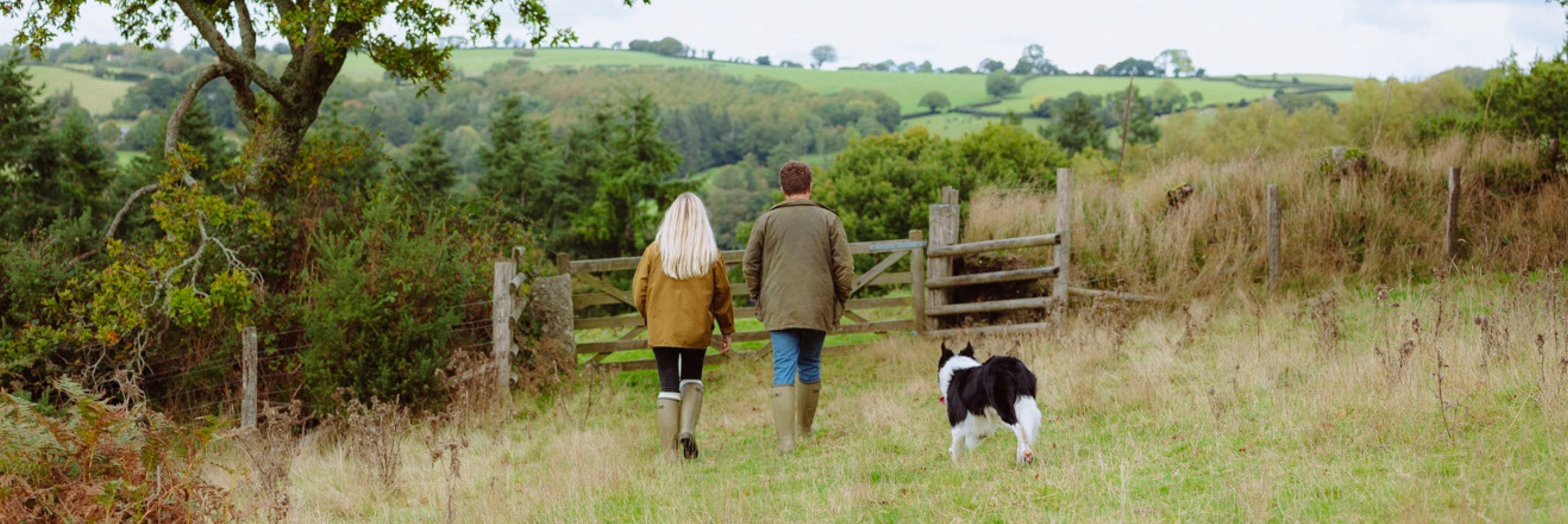 On the farm with the Dartmoor Shepherd