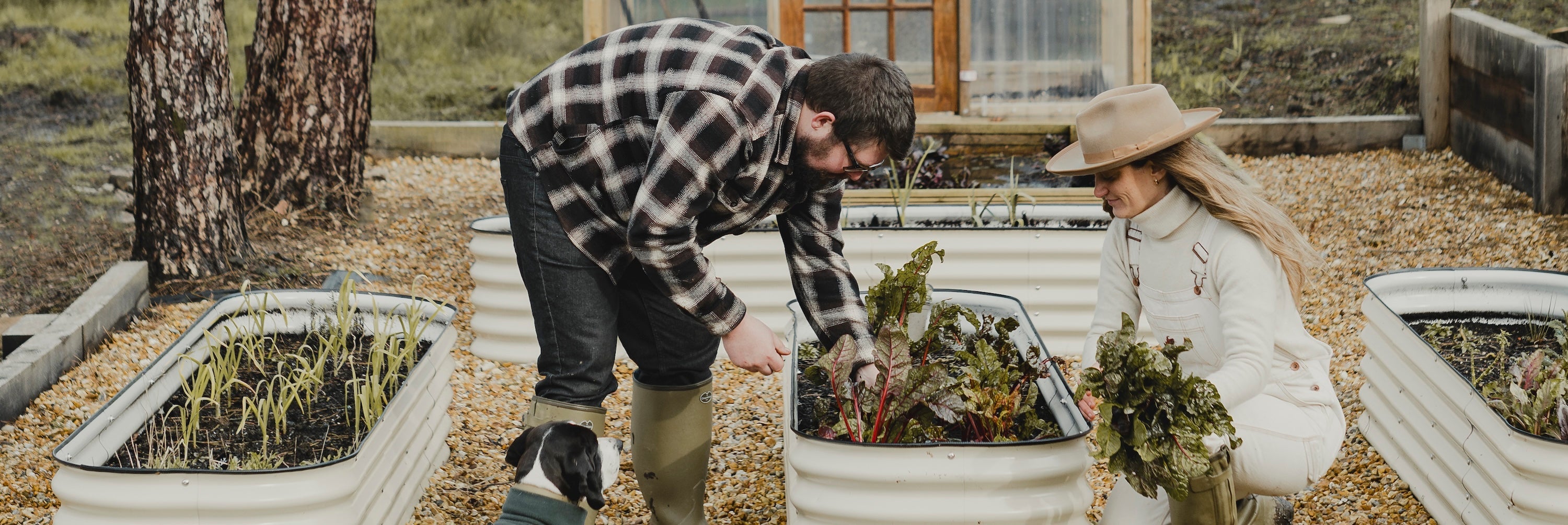Building a dream lifestyle in the Welsh countryside