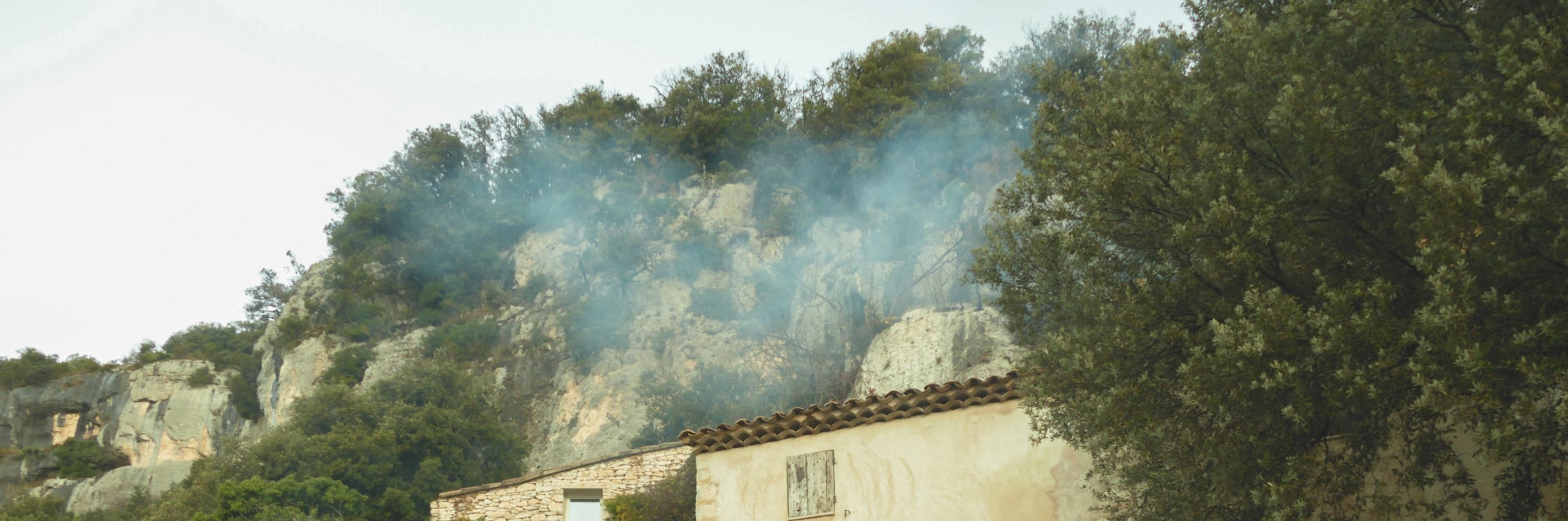 Omelette aux Truffes : Recette Provençale