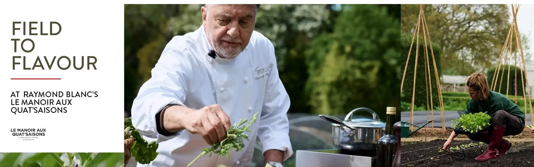 Le Manior aux Quat'Saisons