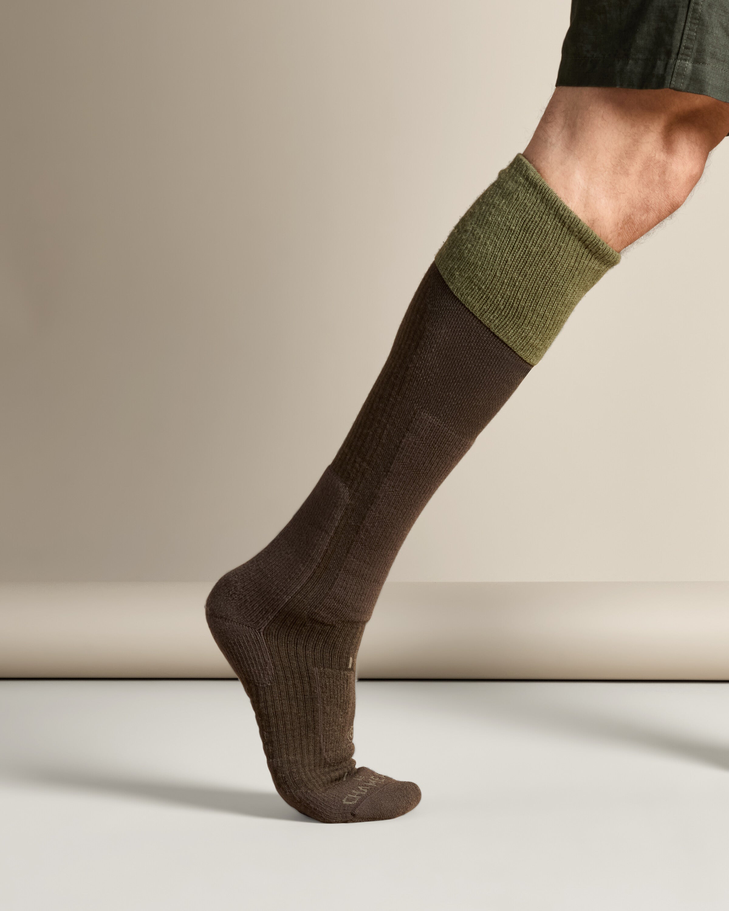 The Ultimate Socks High - Iconic Green