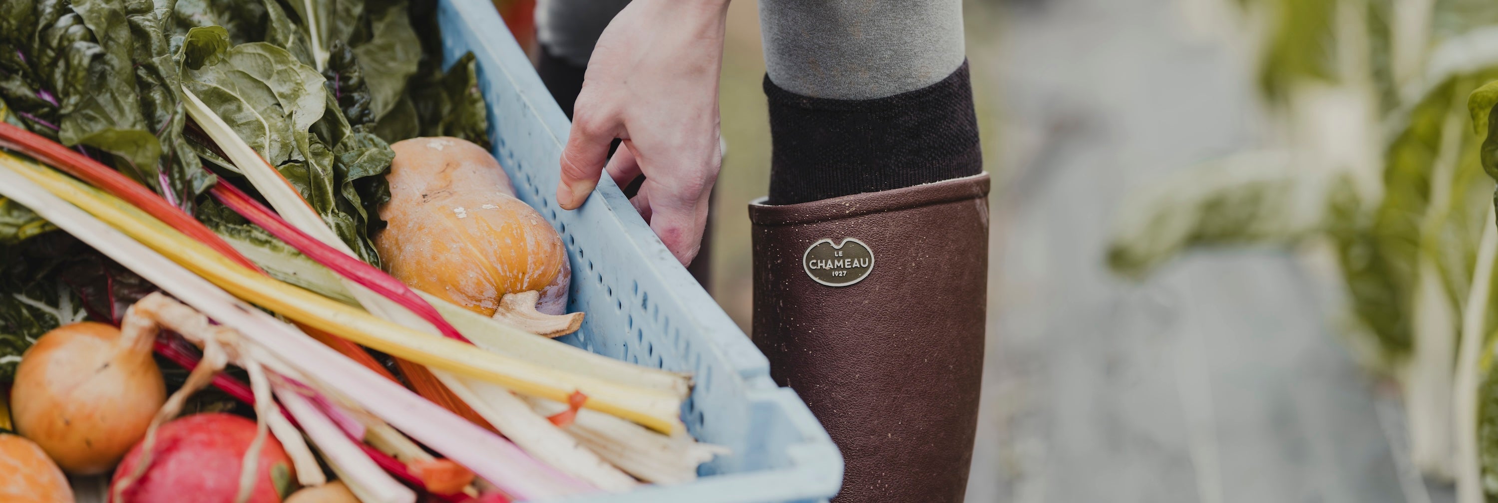 Personnes Même récolte. Nouvelles recettes.