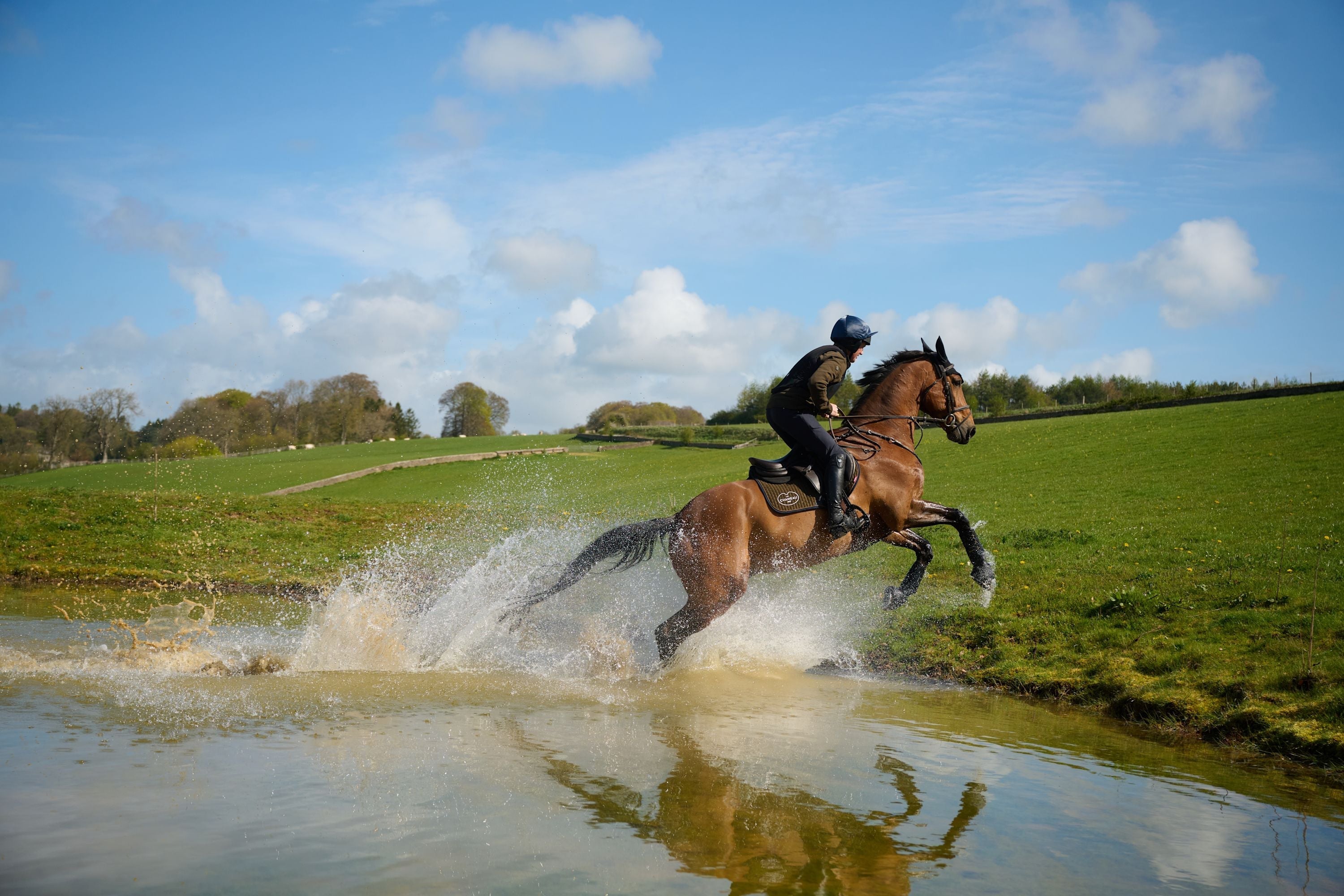 The Bond Between Horse and Rider: Tom McEwen