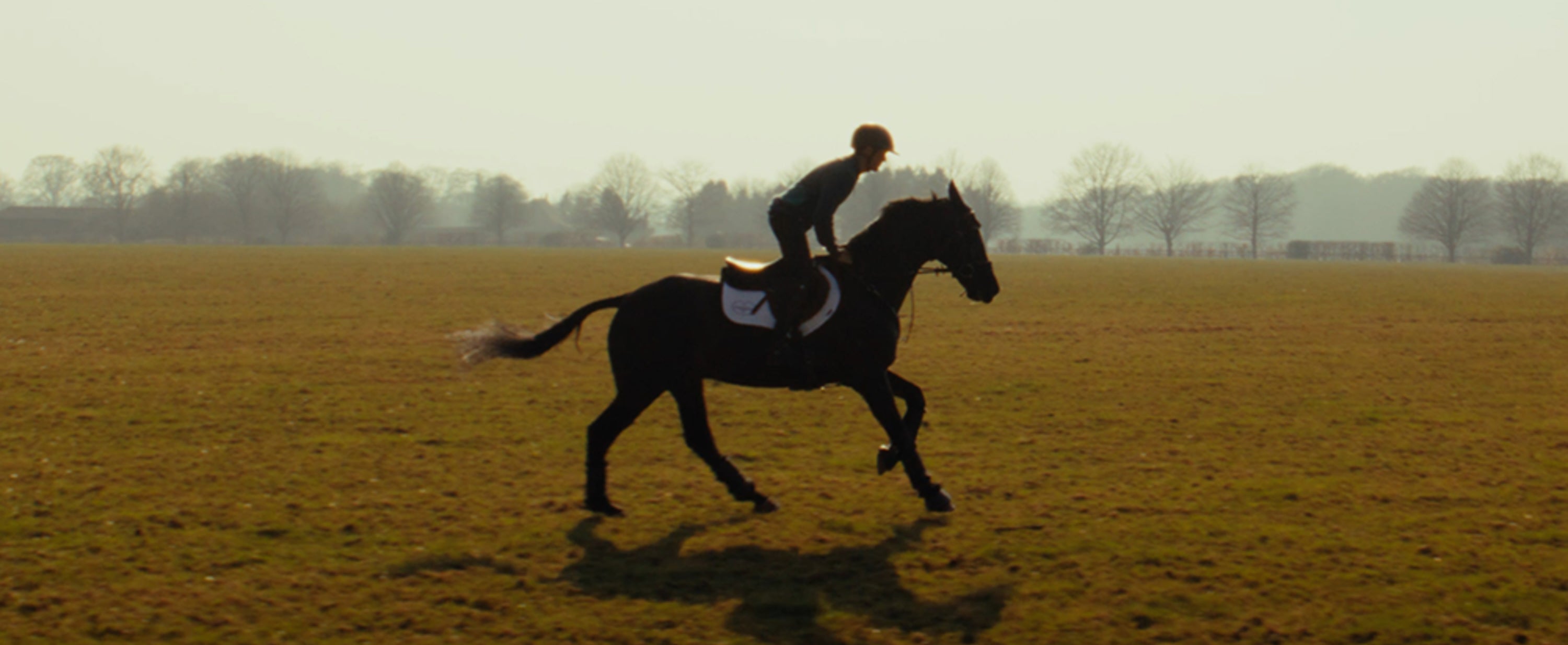 Burghley Horse Trials Q&A with Tom McEwen