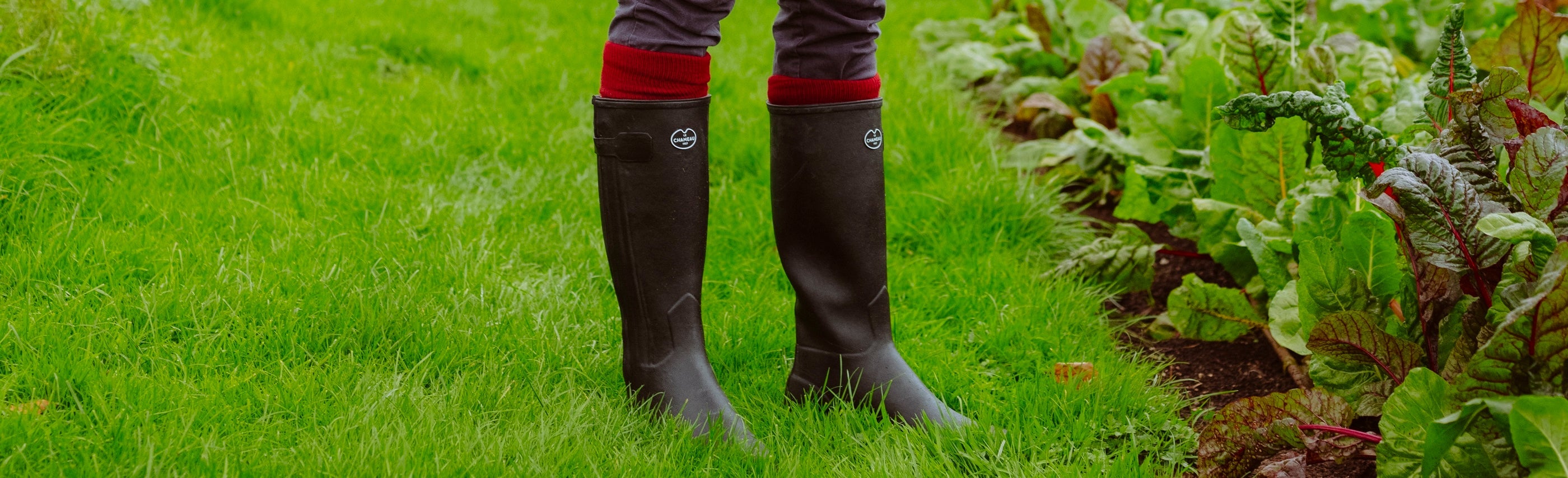 Best Wellington Boots for Gardening