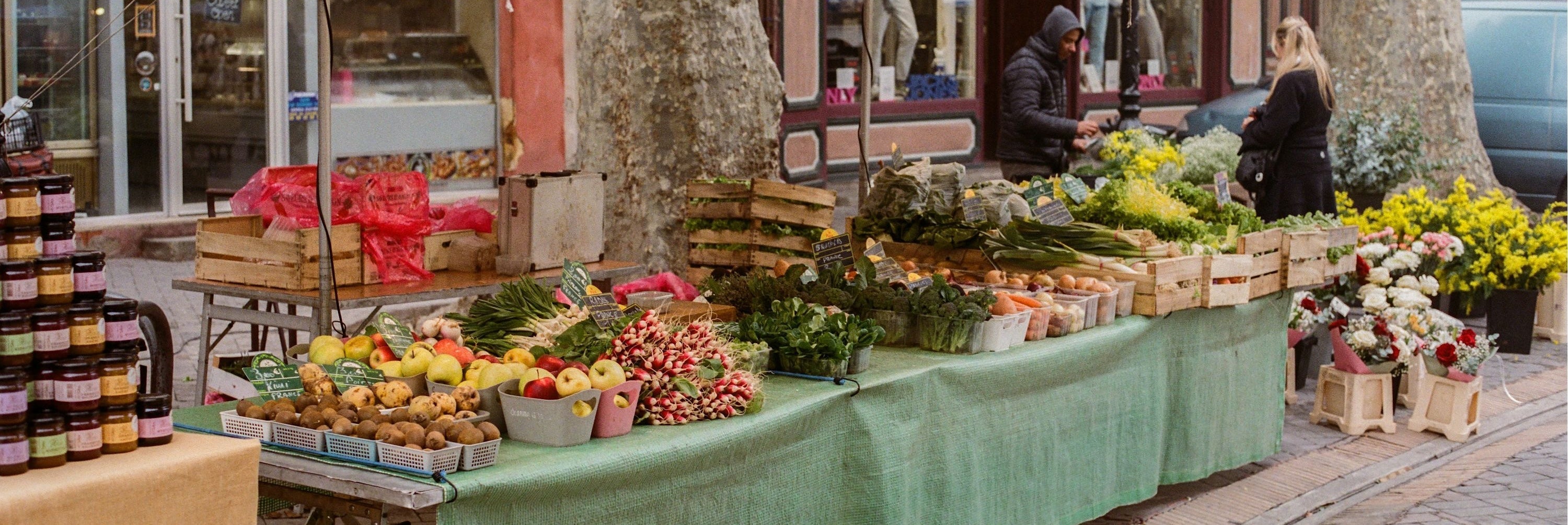 Exploring Provence: A Culture of Sun and Sea