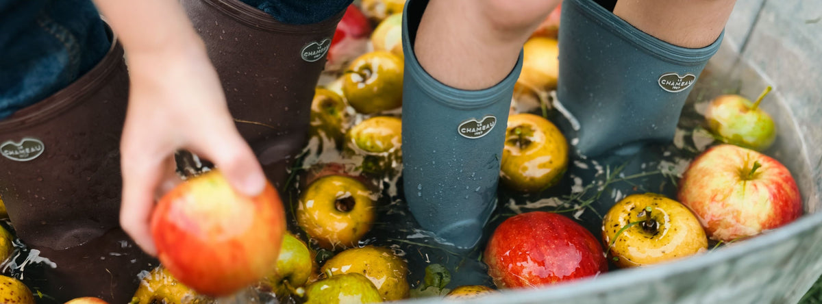 Harvesting Apples this Halloween