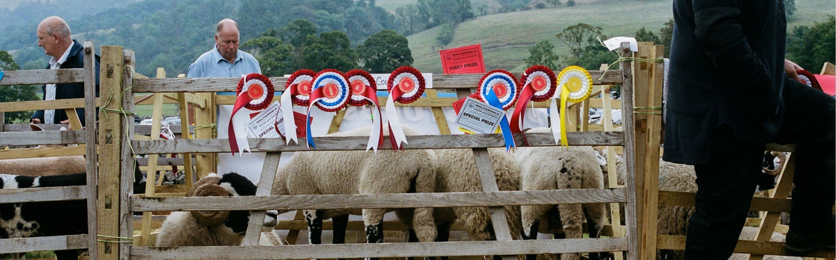 Country Shows: The Best of the Rural Life