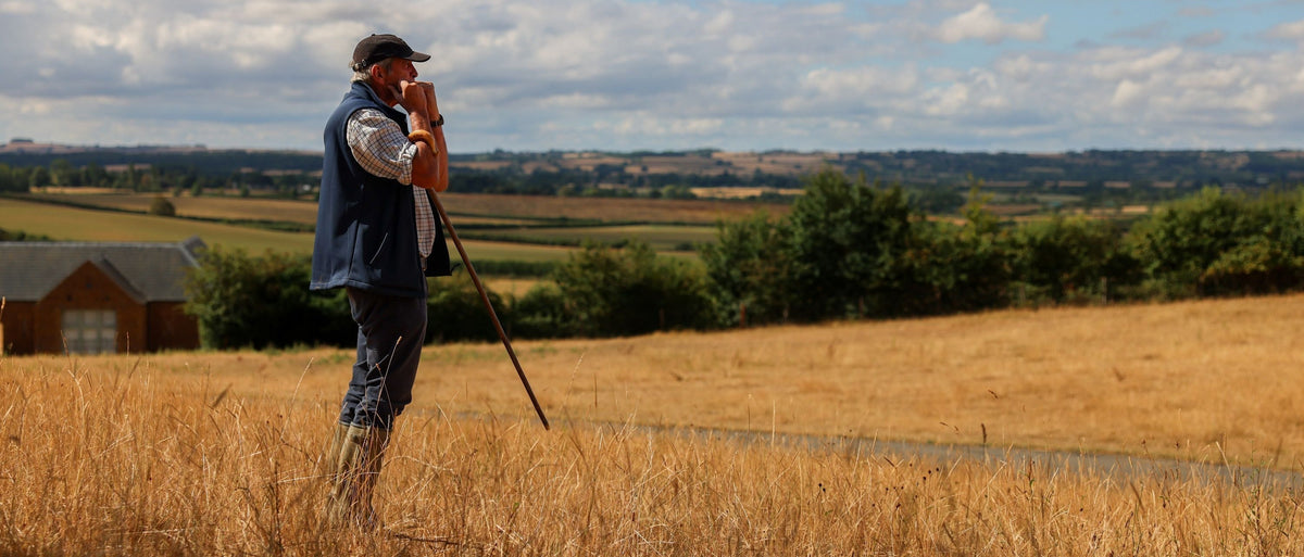 At Daylesford: One Man and his Sheepdog