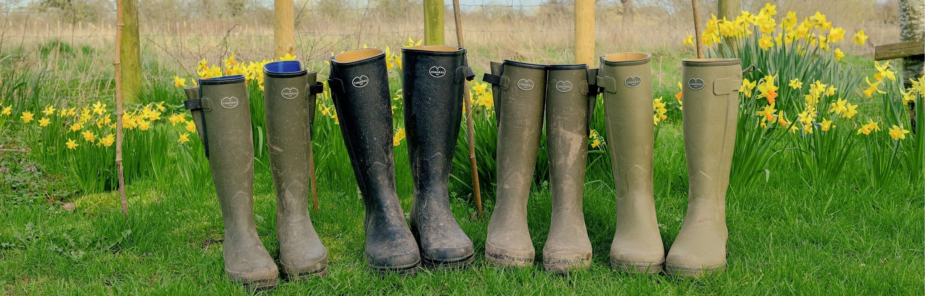 Printemps : cueillir de l’ail des ours à l’équinoxe
