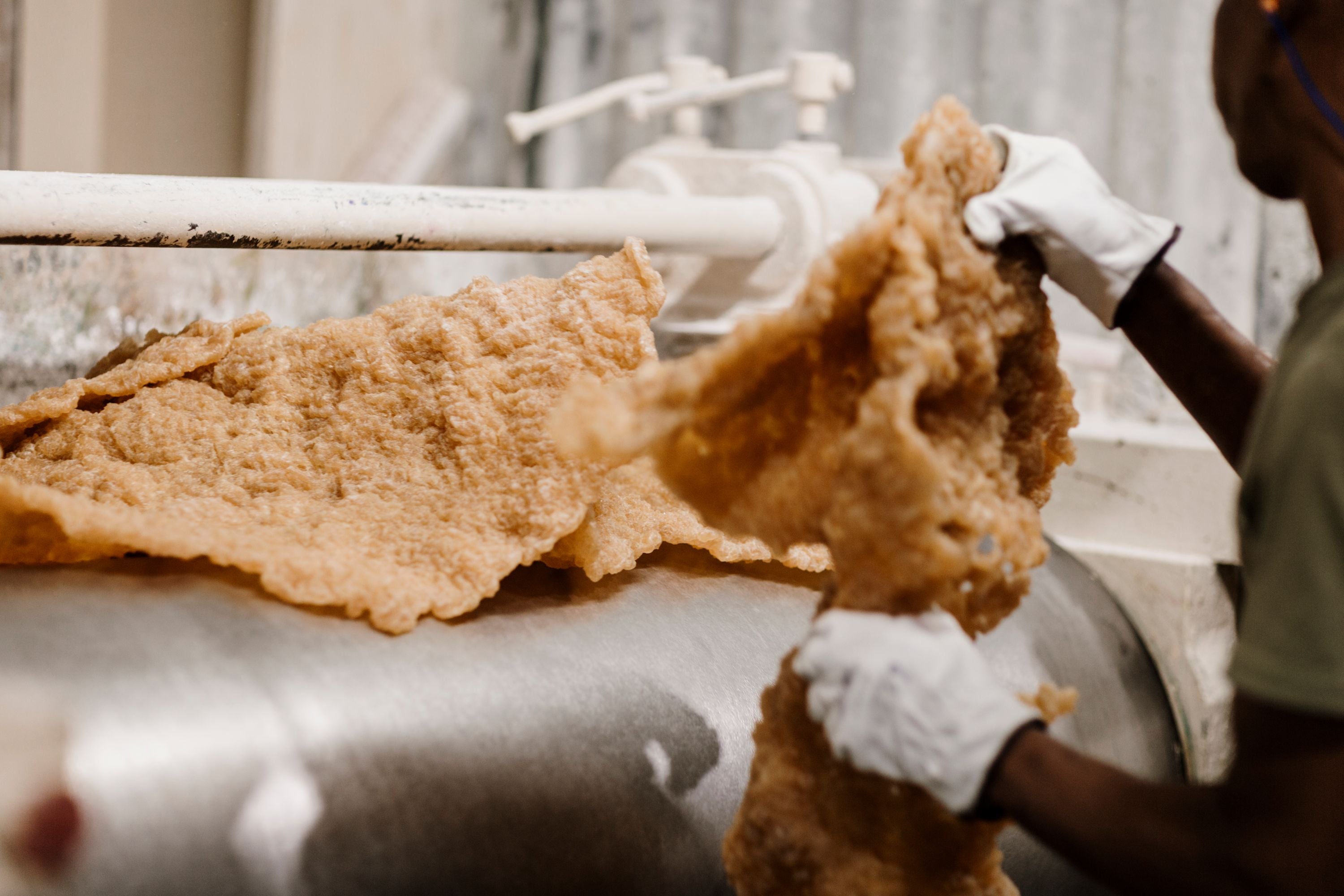 Natural Rubber vs Synthetic: What Sets Them Apart