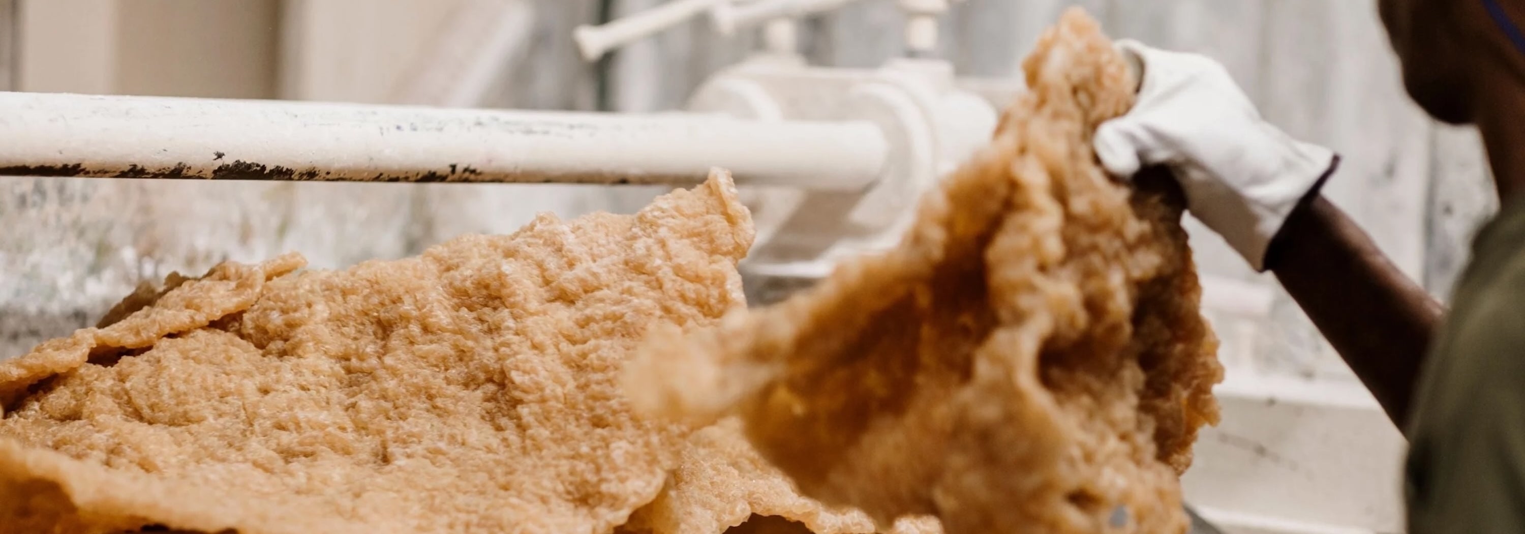 Natural Rubber vs Synthetic: What Sets Them Apart