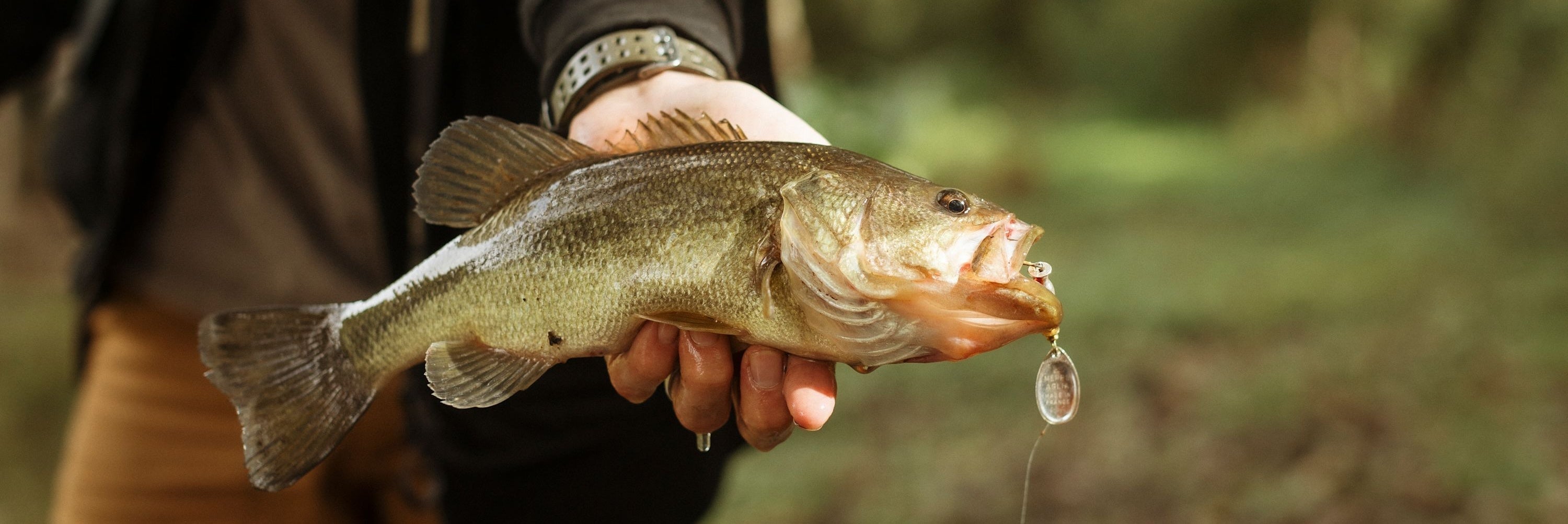 Learning the Craft of Fly Fishing: A Starter Guide