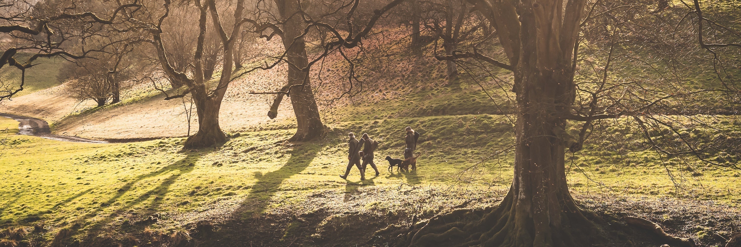 The Ultimate Guide to Fieldsport Boots