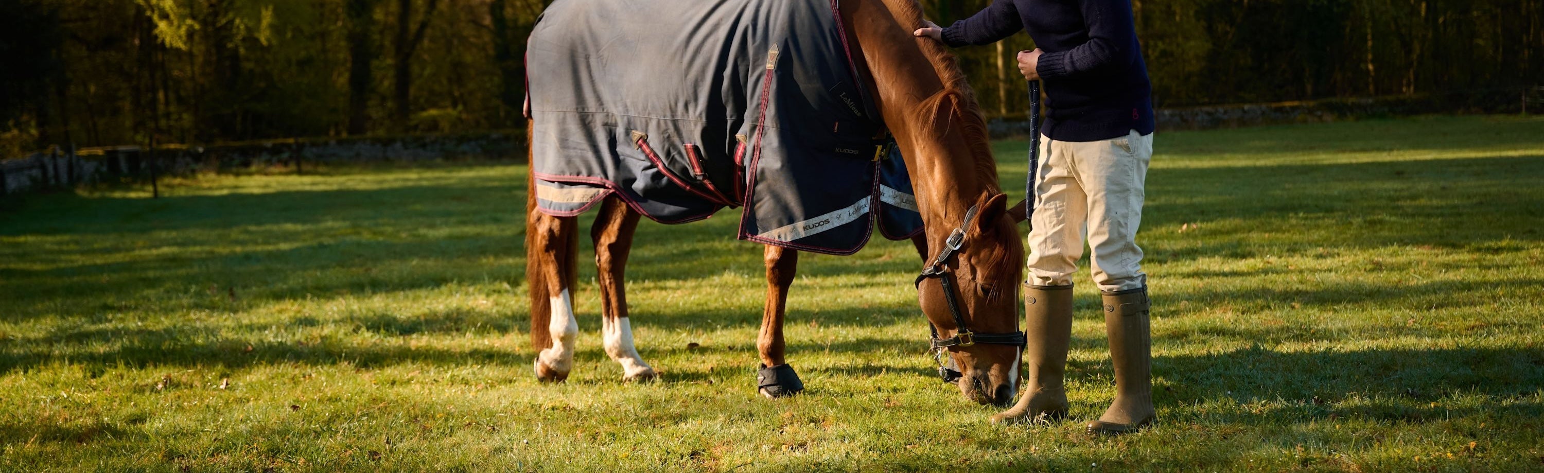 Equestrian Wellington Boots