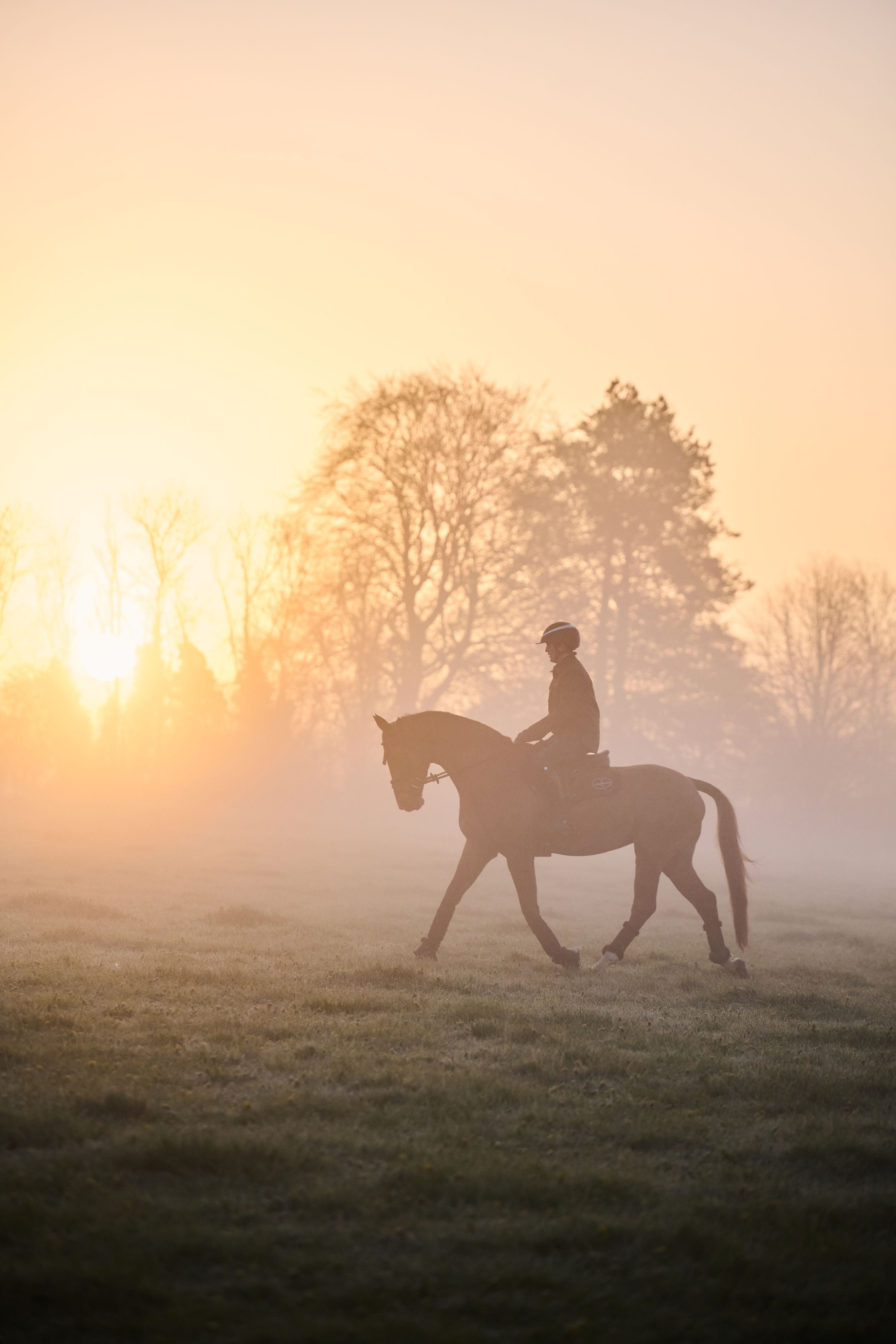 The Bond Between Horse and Rider: Tom McEwen | Le Chameau