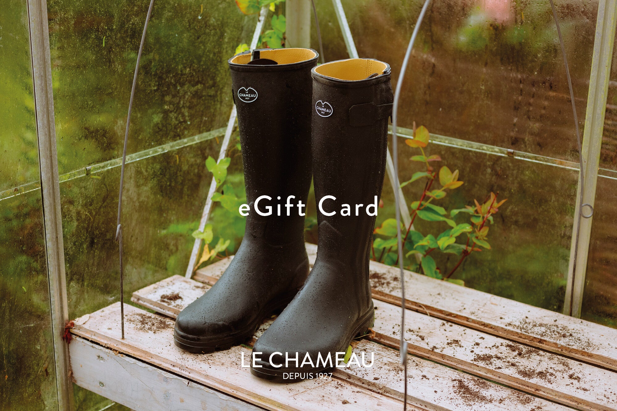 E-Gift Card
