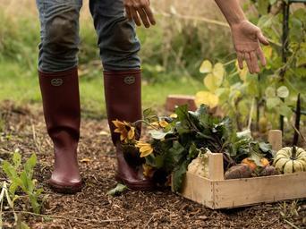 The Imperfects Le Chameau Wellington Boots