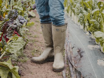 Le Chameau : Bottes Wellington - Fabriquées à la main depuis 1927