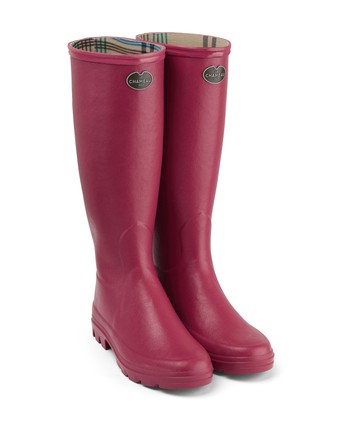Women's andalou cheap ponti lined boot