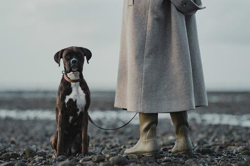 Best wellingtons sales for dog walking