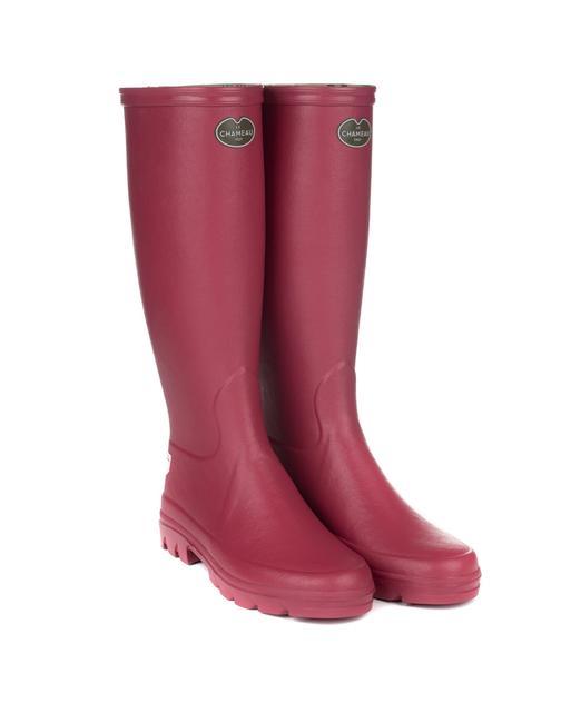 Iris Rose Garden Botte Rose