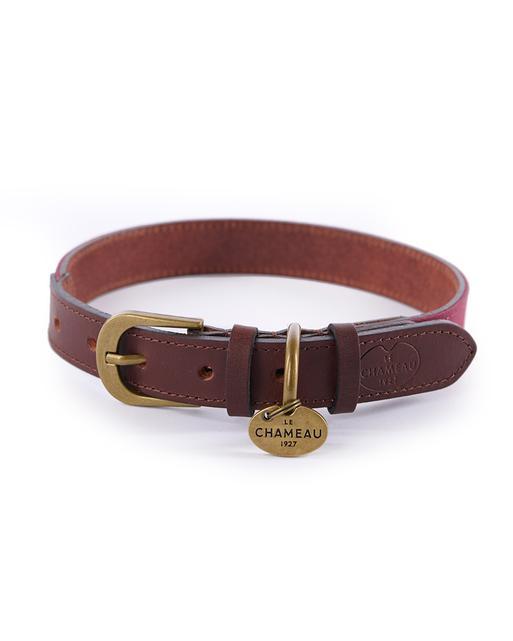 Medium leather 2025 dog collars