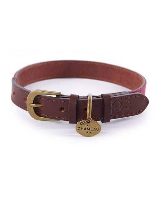 Extra large leather dog collars top